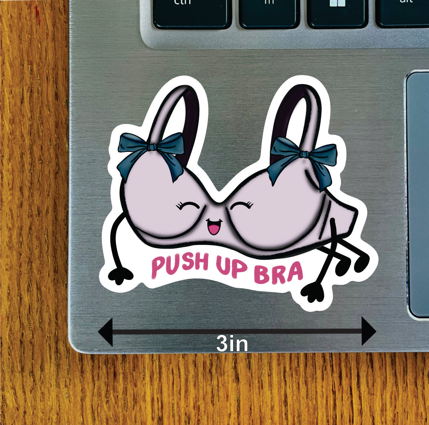 Pushup Bra