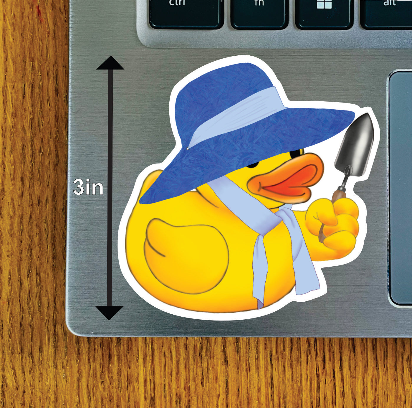 Garden Duck Green, Blue, or Brown Hat