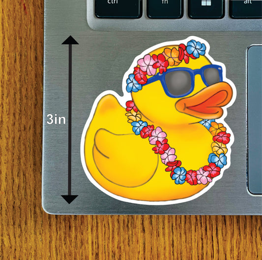 Hawaiian Duck Pink or Blue Glasses and Haku Lei