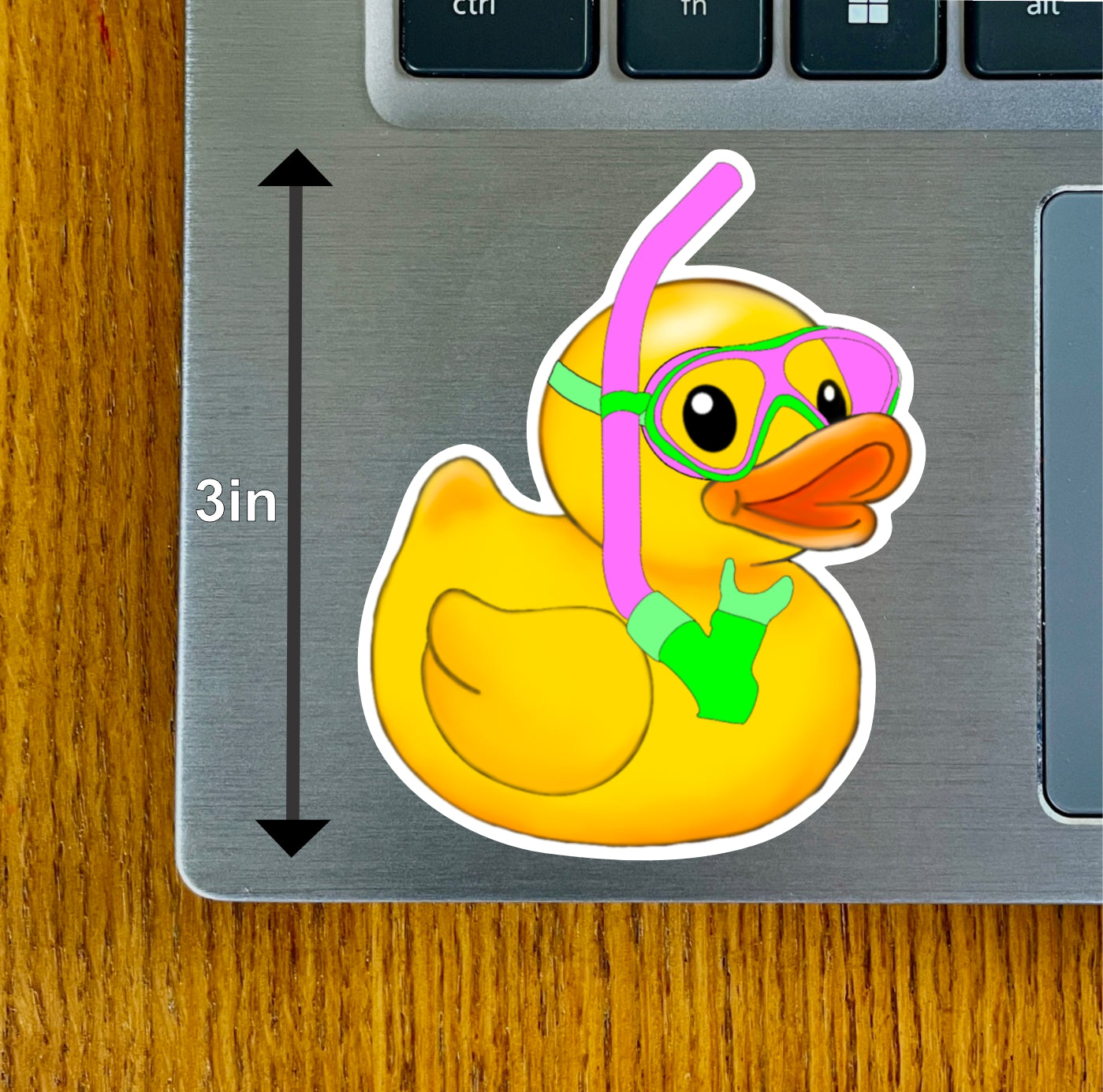 Snorkel Duck, Purple, Pink, Lavender, Green, Blue