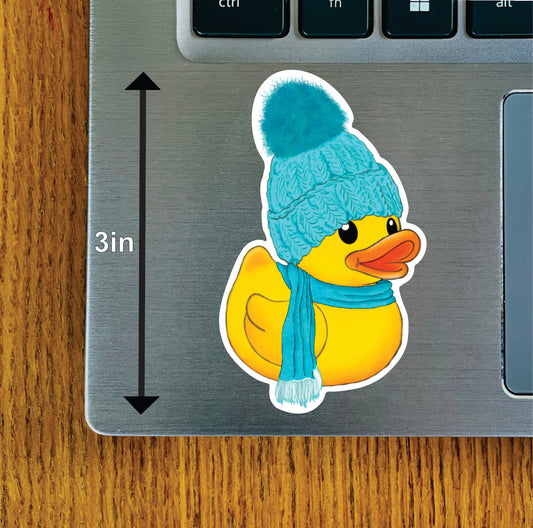 Winter Duck, Red, Pink, Blue, Green