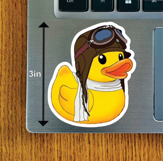 Aviator Duck