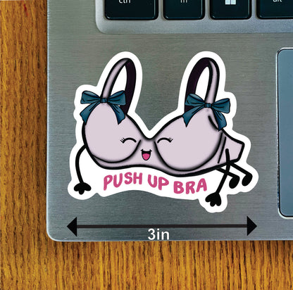 Pushup Bra