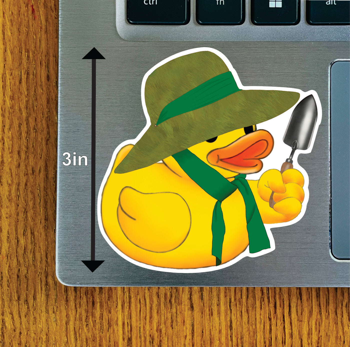 Garden Duck Green, Blue, or Brown Hat