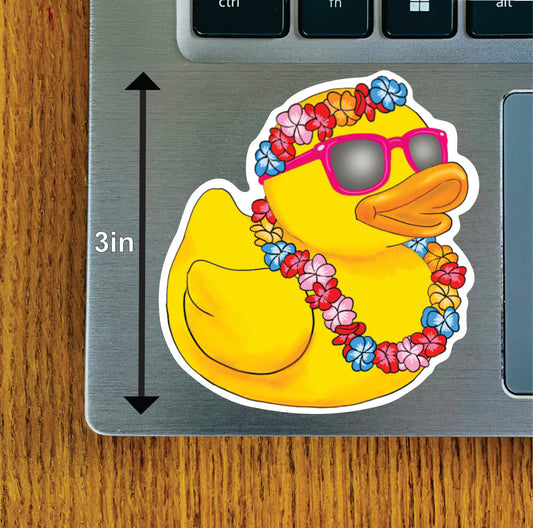 Hawaiian Duck Pink or Blue Glasses and Haku Lei