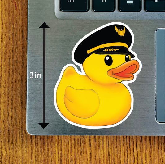 Pilot Duck