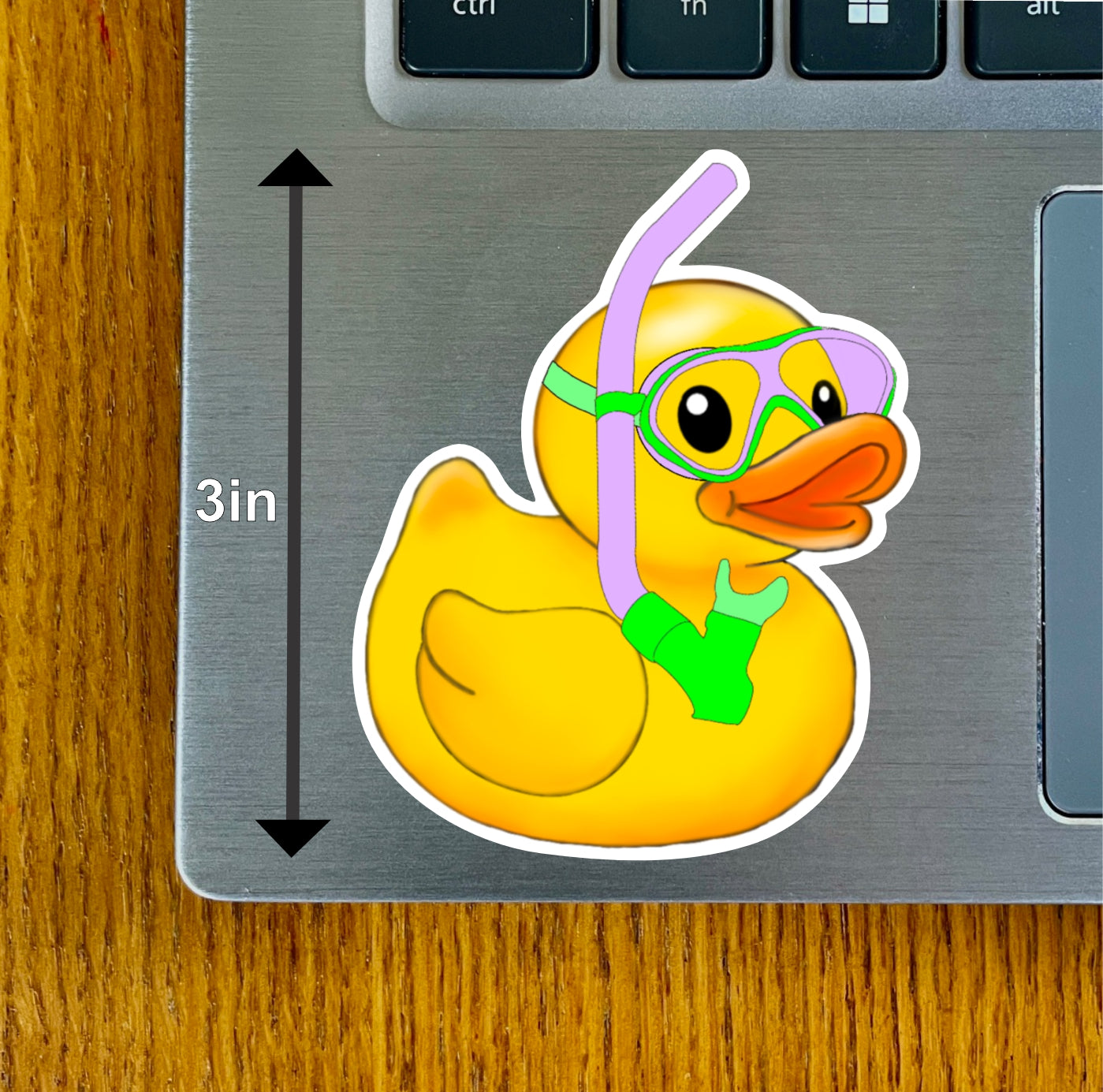 Snorkel Duck, Purple, Pink, Lavender, Green, Blue