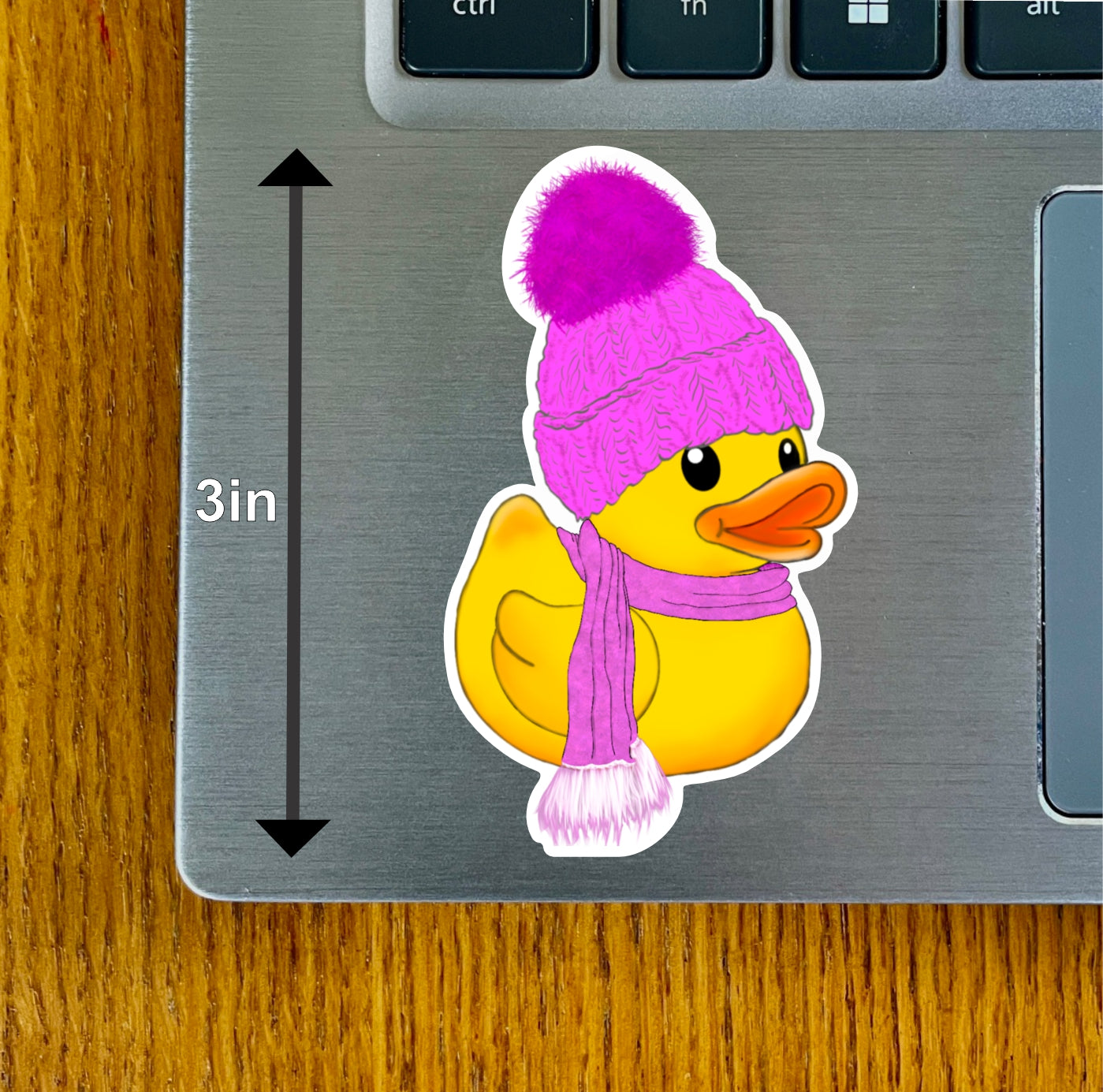 Winter Duck, Red, Pink, Blue, Green