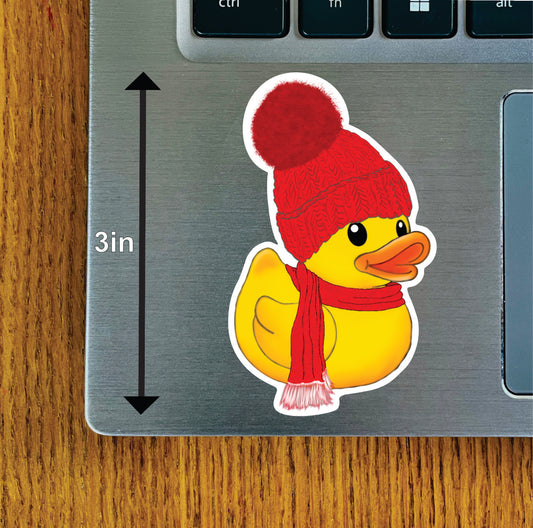 Winter Duck, Red, Pink, Blue, Green