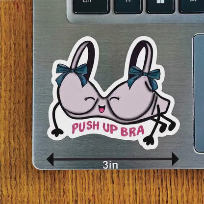 Pushup Bra
