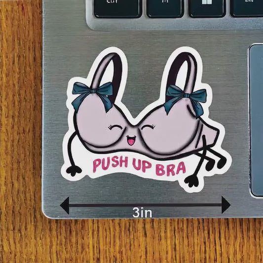 Pushup Bra