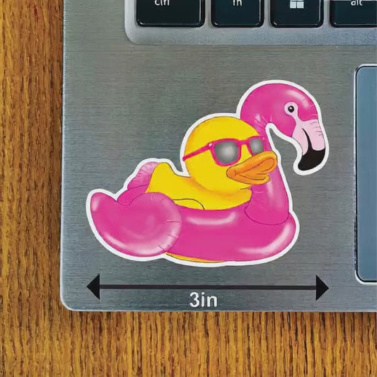 Duck in Flamingo Swim Ring with Glasses